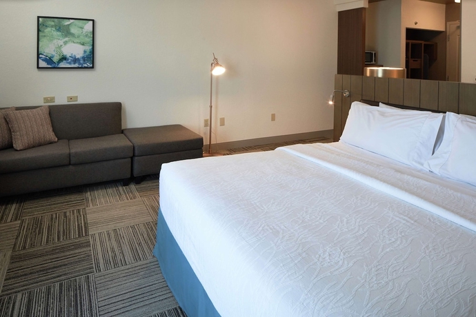 Imagen de la habitación del Hotel Hilton Garden Inn Evansville. Foto 5
