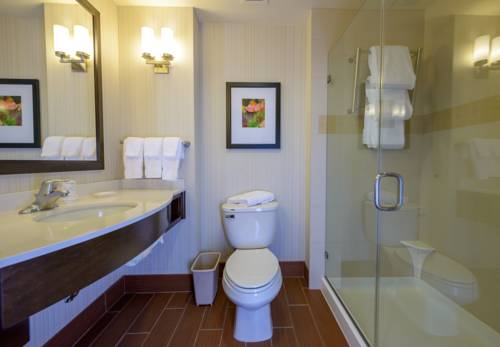 Imagen de la habitación del Hotel Hilton Garden Inn Exton-west Chester. Foto 3