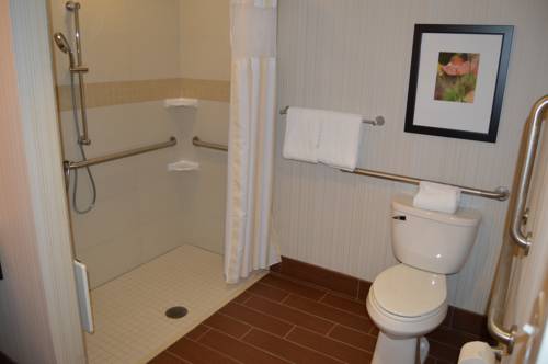 Imagen de la habitación del Hotel Hilton Garden Inn Exton-west Chester. Foto 8