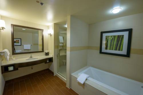 Imagen de la habitación del Hotel Hilton Garden Inn Exton-west Chester. Foto 16