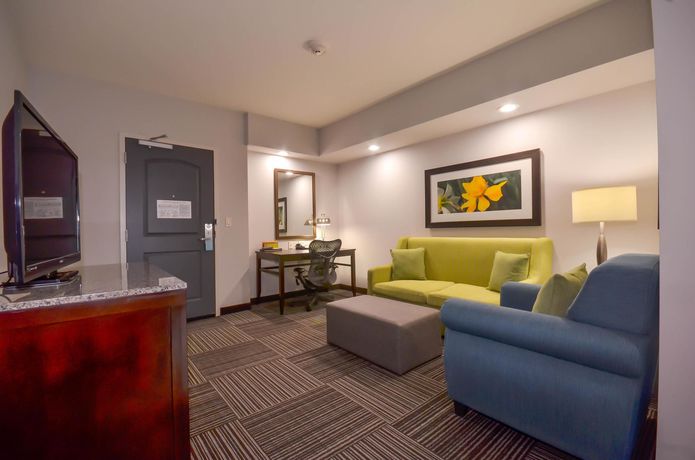 Imagen de la habitación del Hotel Hilton Garden Inn Fayettevile. Foto 9