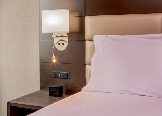 Imagen de la habitación del Hotel Hilton Garden Inn Financial Center/Manhattan. Foto 8