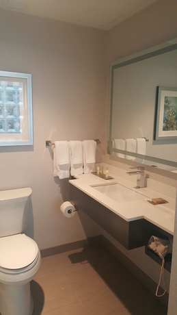 Imagen de la habitación del Hotel Hilton Garden Inn Financial Center/Manhattan. Foto 14