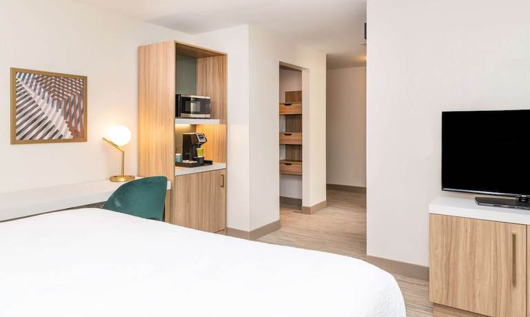 Imagen de la habitación del Hotel Hilton Garden Inn Flint Downtown. Foto 14