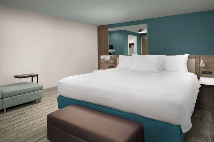 Imagen de la habitación del Hotel Hilton Garden Inn Florence Cincinnati Airport South. Foto 14
