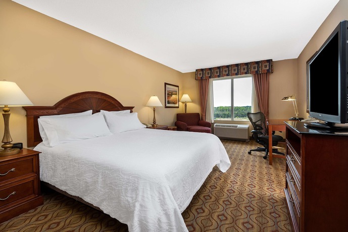 Imagen de la habitación del Hotel Hilton Garden Inn Florence. Foto 9