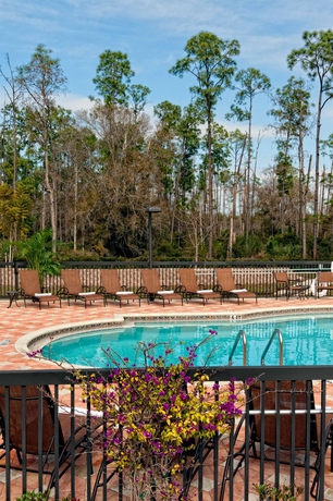 Imagen de la piscina del Hotel Hilton Garden Inn Fort Myers Airport/fgcu. Foto 14