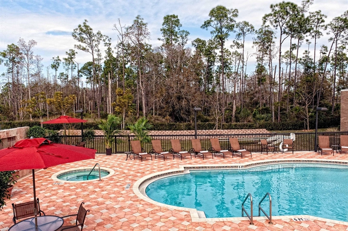 Imagen de la piscina del Hotel Hilton Garden Inn Fort Myers Airport/fgcu. Foto 15