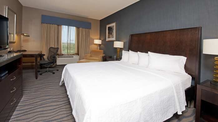 Imagen de la habitación del Hotel Hilton Garden Inn Fort Worth Alliance Airport. Foto 2
