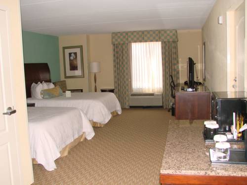 Imagen de la habitación del Hotel Hilton Garden Inn Gainesville, Gainesville. Foto 1