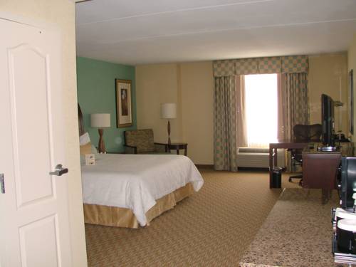 Imagen de la habitación del Hotel Hilton Garden Inn Gainesville, Gainesville. Foto 2