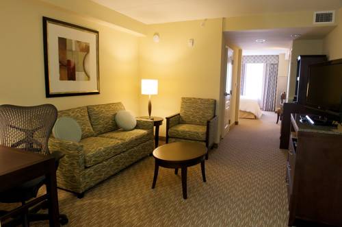 Imagen de la habitación del Hotel Hilton Garden Inn Gainesville, Gainesville. Foto 4