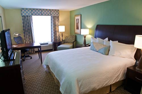 Imagen de la habitación del Hotel Hilton Garden Inn Gainesville, Gainesville. Foto 5