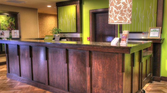 Imagen general del Hotel Hilton Garden Inn Gatlinburg. Foto 8