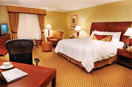 Imagen de la habitación del Hotel Hilton Garden Inn Gilroy. Foto 3