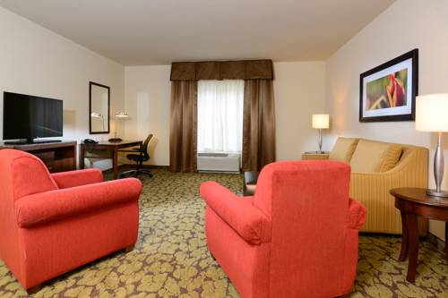 Imagen de la habitación del Hotel Hilton Garden Inn Greensboro Airport. Foto 2