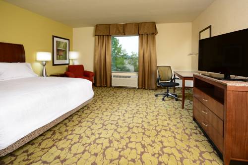 Imagen de la habitación del Hotel Hilton Garden Inn Greensboro Airport. Foto 4