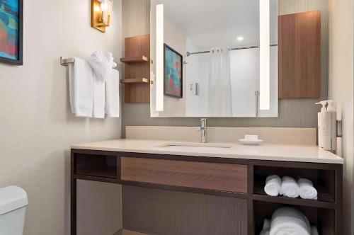 Imagen de la habitación del Hotel Hilton Garden Inn Greenville University Area. Foto 12