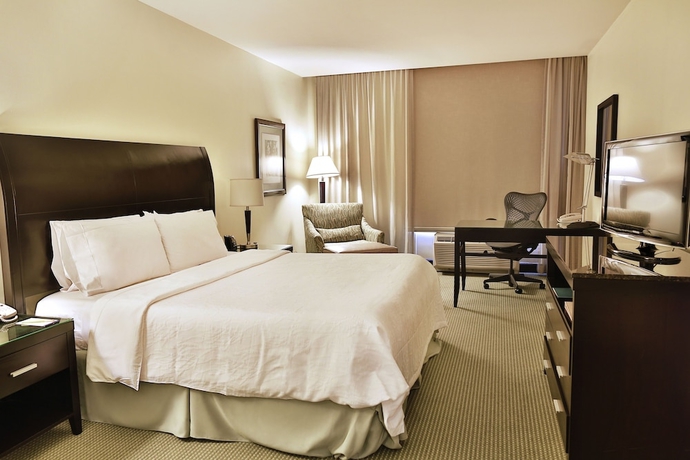 Imagen de la habitación del Hotel Hilton Garden Inn Guanacaste Airport. Foto 3