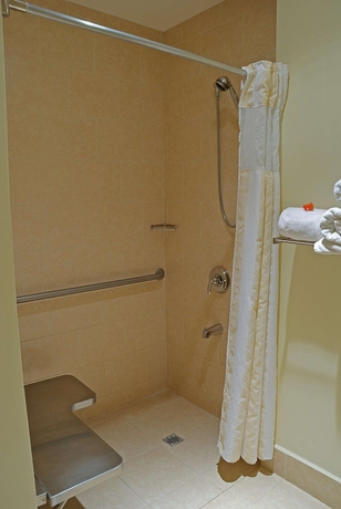 Imagen de la habitación del Hotel Hilton Garden Inn Guanacaste Airport. Foto 6