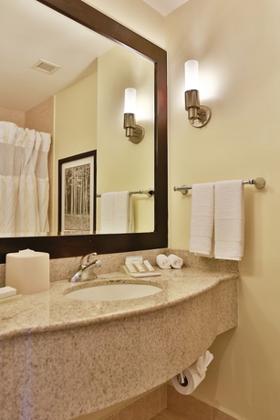 Imagen de la habitación del Hotel Hilton Garden Inn Guanacaste Airport. Foto 8