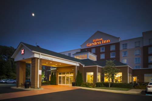 Imagen general del Hotel Hilton Garden Inn Hampton Coliseum Central. Foto 1
