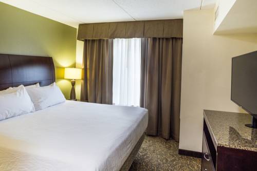 Imagen de la habitación del Hotel Hilton Garden Inn Hampton Coliseum Central. Foto 6
