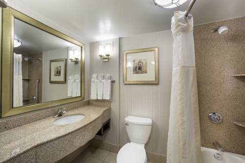 Imagen de la habitación del Hotel Hilton Garden Inn Hampton Coliseum Central. Foto 10