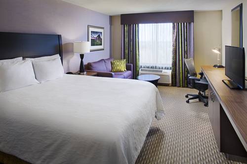 Imagen de la habitación del Hotel Hilton Garden Inn Hartford North-bradley Internati. Foto 1