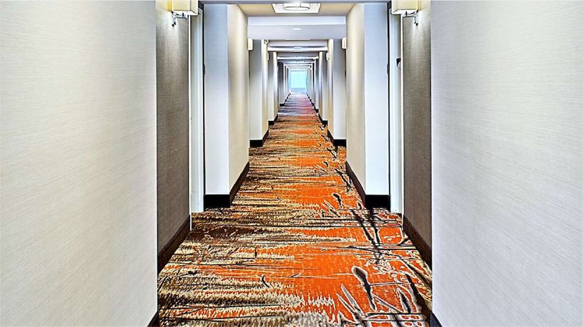 Imagen de los interiores del Hotel Hilton Garden Inn Houston Cypress Station. Foto 16