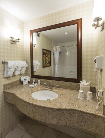 Imagen de la habitación del Hotel Hilton Garden Inn Houston Energy Corridor. Foto 11