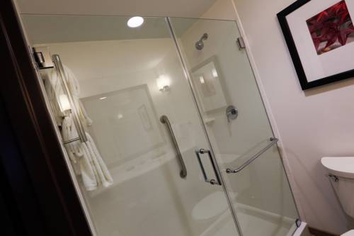 Imagen de la habitación del Hotel Hilton Garden Inn Indiana At Iup. Foto 6