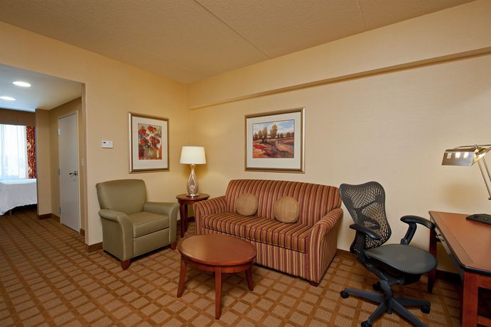 Imagen de la piscina del Hotel Hilton Garden Inn Indianapolis Airport. Foto 16