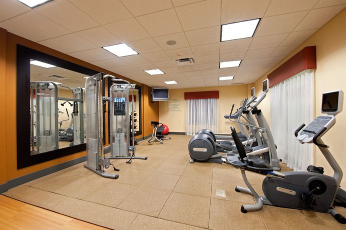 Imagen de la habitación del Hotel Hilton Garden Inn Indianapolis Airport. Foto 7