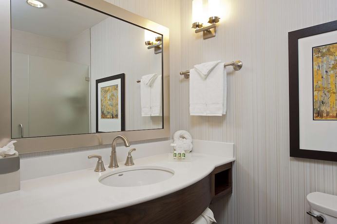 Imagen de la habitación del Hotel Hilton Garden Inn Indianapolis Downtown. Foto 5