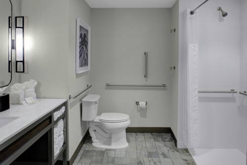 Imagen de la habitación del Hotel Hilton Garden Inn Jackson. Foto 6
