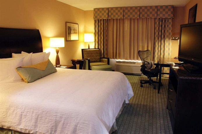 Imagen de la habitación del Hotel Hilton Garden Inn Jacksonville Downtown Southbank. Foto 4