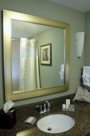 Imagen de la habitación del Hotel Hilton Garden Inn Jacksonville Downtown Southbank. Foto 5