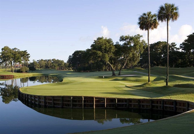Imagen de los exteriores del Hotel Hilton Garden Inn Jacksonville Jtb/deerwood Park. Foto 10