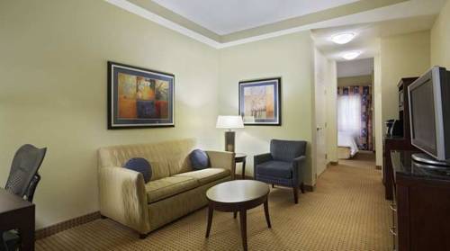 Imagen de la habitación del Hotel Hilton Garden Inn Jacksonville Orange Park. Foto 8