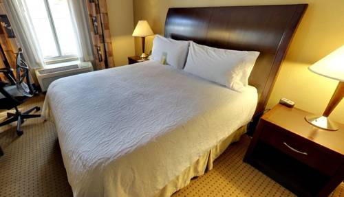 Imagen de la habitación del Hotel Hilton Garden Inn Jacksonville Orange Park. Foto 14