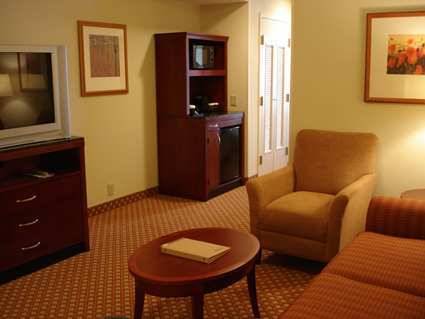 Imagen de la habitación del Hotel Hilton Garden Inn Joplin. Foto 6