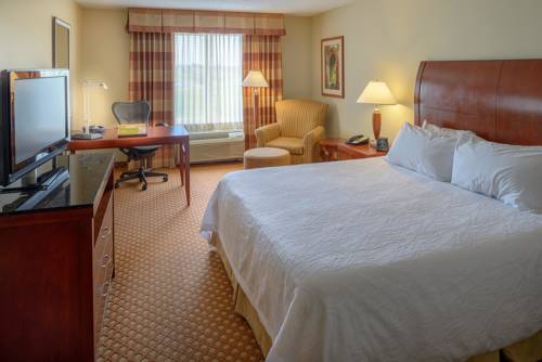 Imagen de la habitación del Hotel Hilton Garden Inn Joplin. Foto 8