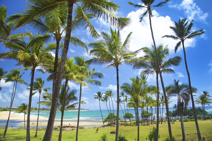 Imagen de los exteriores del Hotel Hilton Garden Inn Kauai Wailua Bay, Hi. Foto 12