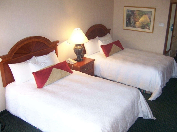 Imagen de la habitación del Hotel Hilton Garden Inn Kennett Square. Foto 4