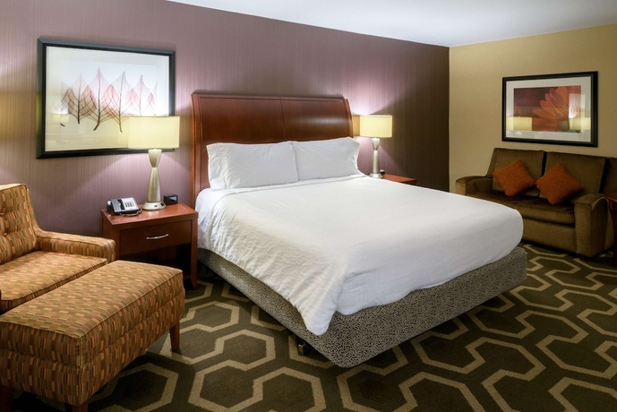 Imagen de la habitación del Hotel Hilton Garden Inn Kennett Square. Foto 6