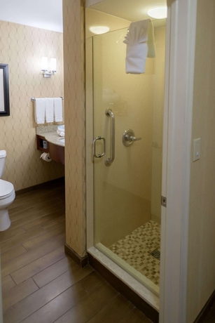 Imagen de la habitación del Hotel Hilton Garden Inn Kennett Square. Foto 14