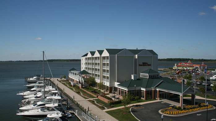 Imagen general del Hotel Hilton Garden Inn Kent Island. Foto 10