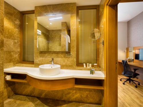 Imagen de la habitación del Hotel Hilton Garden Inn Kocaeli Sekerpinar. Foto 5