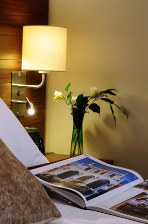 Imagen de la habitación del Hotel Hilton Garden Inn Kutahya. Foto 6